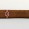 Short Robusto